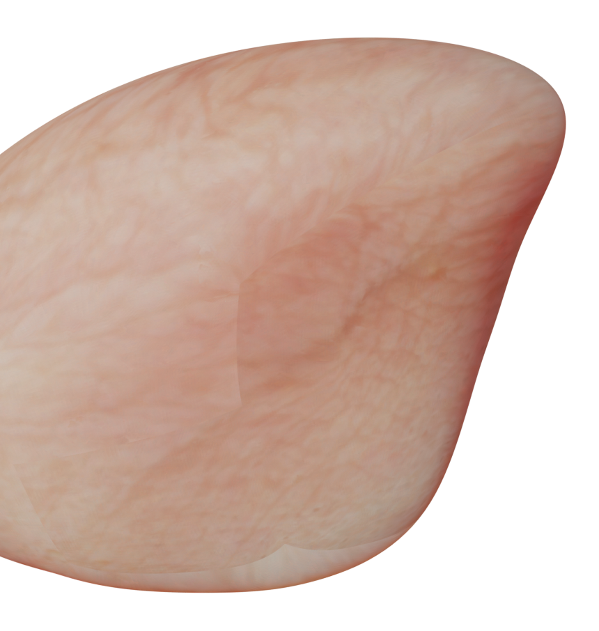 HOLEYSURFACE